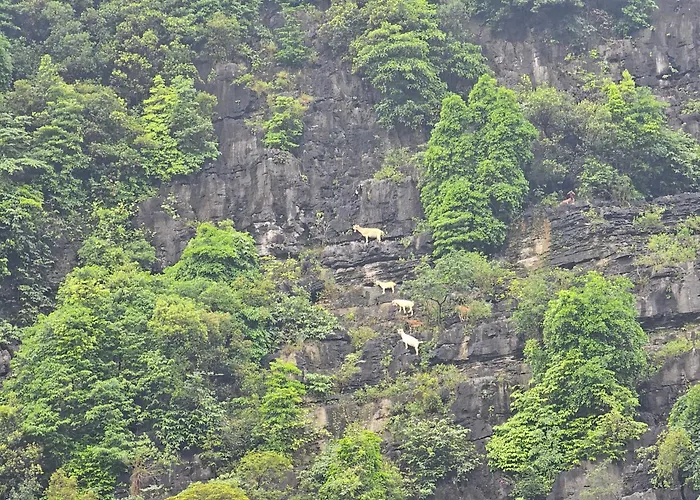 Fairy Mountain Retreat